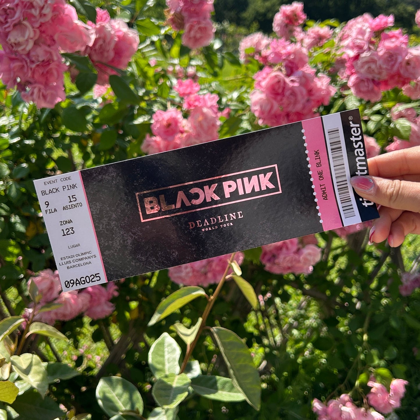 Entradas hechas por fans de Black Pink para la gira mundial Deadline