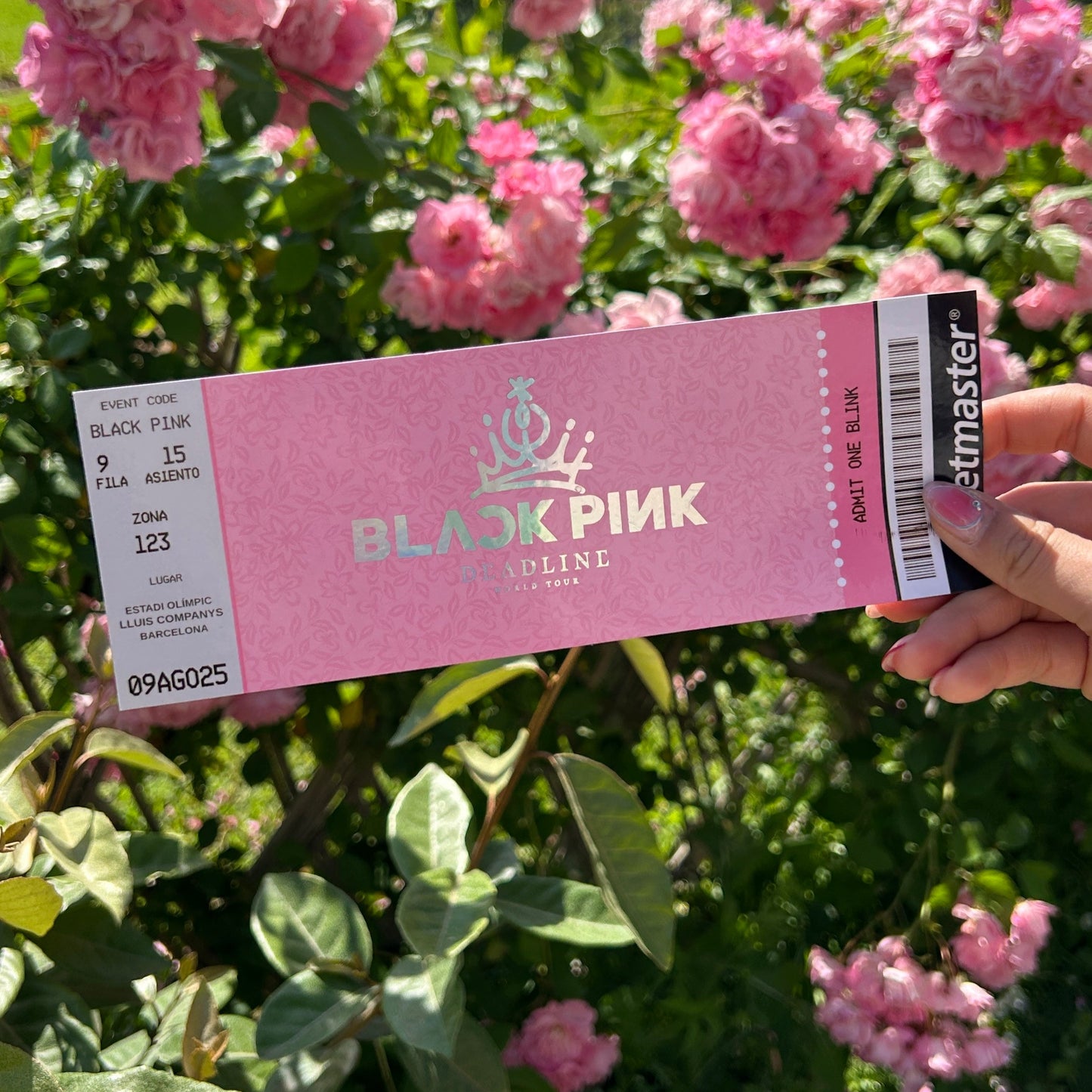 Entradas hechas por fans de Black Pink para la gira mundial Deadline